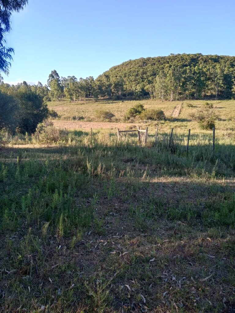 <?php the_title() ;?>